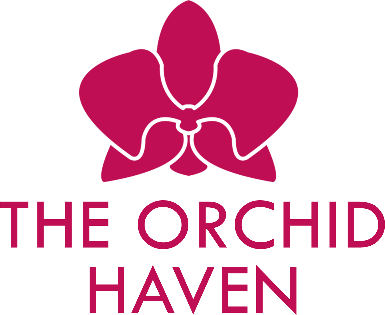 The Orchid Haven